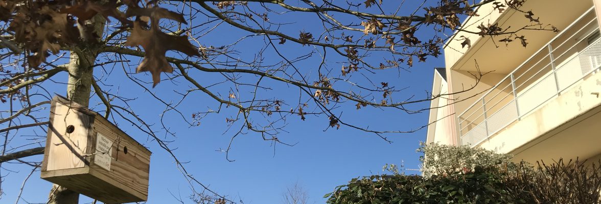 Nichoir à Cany Barville