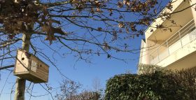 Nichoir à Cany Barville